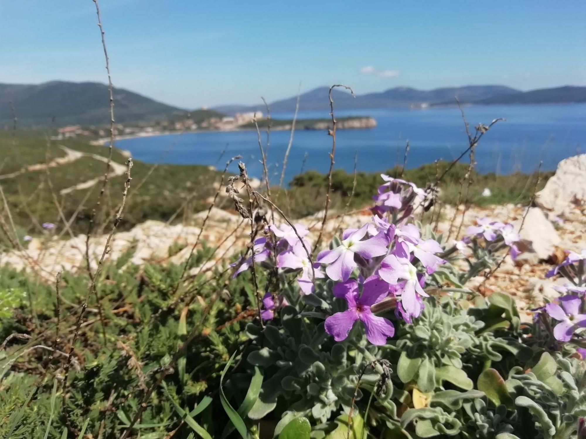 Bed and Breakfast El Matorral Alghero Exterior foto